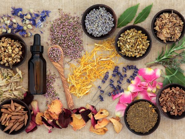 Herbal naturopathic medicine selection also used in pagan witches magical potions over old paper background.